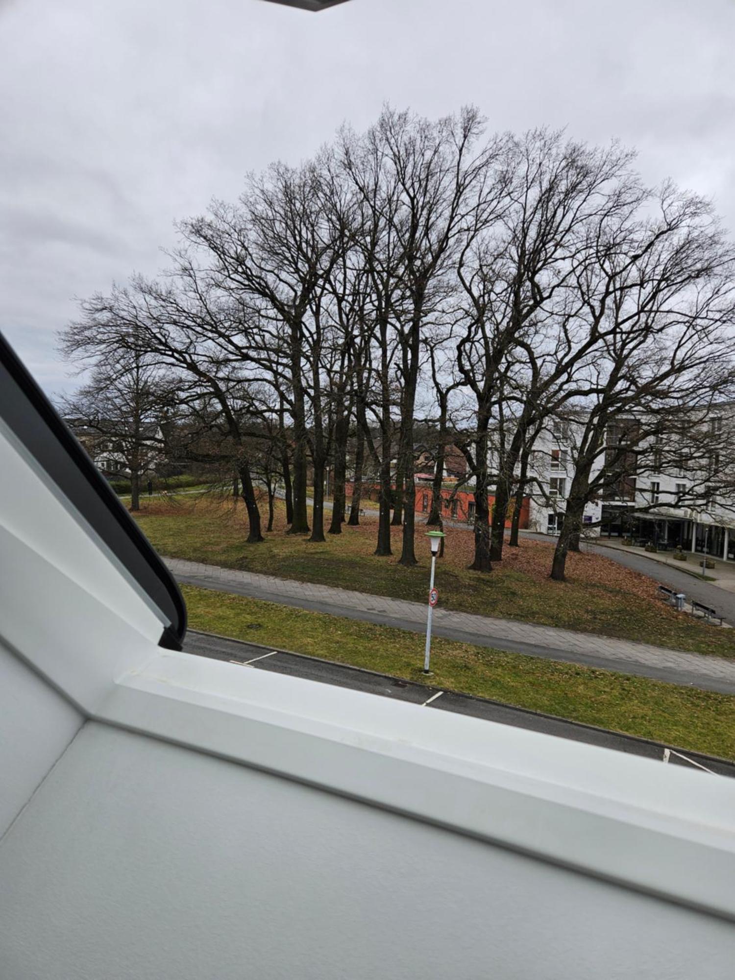 3 Zimmerwohnung Am Neuer Teich Wolfsburg Luaran gambar